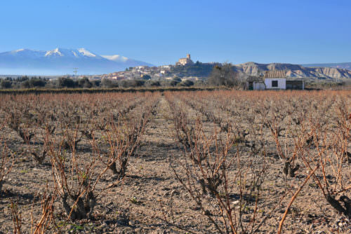 Böden bei Campo de Borja, Aragonien, Spanien - Vino Culinario