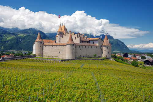 Chateau d'Aigle, Aigle, Lavaux, Schweiz, Waadt, Vaud - Vino Culinario