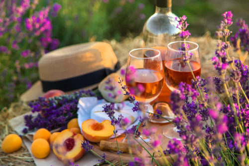 Picknick mit Wein - Vino Culinario