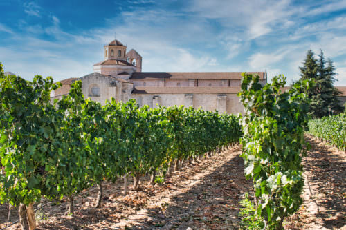 Valbuena Kloster bei Vega Sicilia Weingut - Vino Culinario