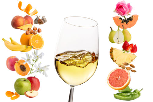 Weinaromen Früchte fruchtiger Wein Weißwein - Vino Culinario
