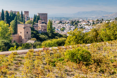 Weinbau bei Granada - Alhambra - Vino Culinario
