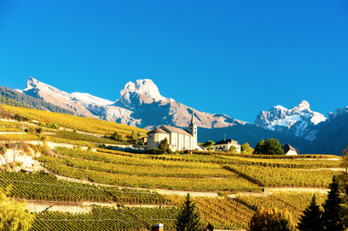 Weinbau in den Alpen, Wallis, Schweiz - Vino Culinario
