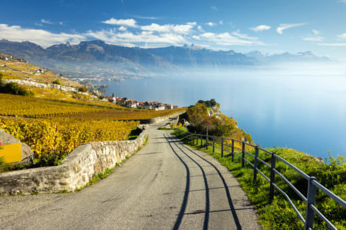 Weinbau am Genfer See, Lavaux, Waadt, Schweiz - Vino Culinario