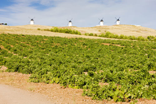 Weinreben und Windmühlen, Kastilien-La Mancha, Spanien - Vino Culinario
