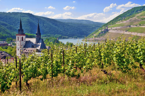 Bingen, Kirche und Rhein in Rheinhessen - Vino Culilnario