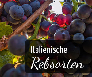 Italienische Rebsorten - Vino Culinario