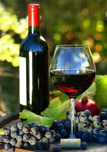 Rote Rebsorten wie bspw. der Gaglioppo dominieren den Weinbau in Kalabrien - Vino Culinario