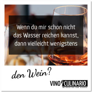 wenn du mir schon nicht das wasser reichen kannst, dann vielleicht wenigstens den Wein - Vino Culinario