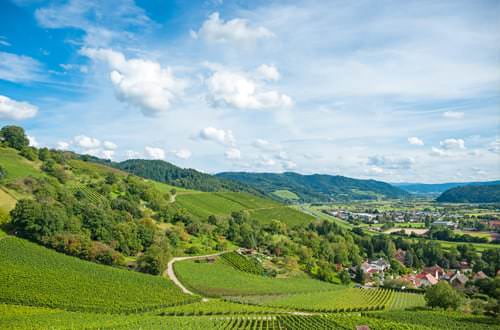 Vino Culinario - Weinbaugebiet Württemberg