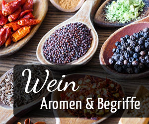 Weinaromen & Weinbegriffe, Banner - Vino Culinario