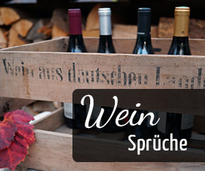 Wein-Sprüche, Banner - Vino Culinario