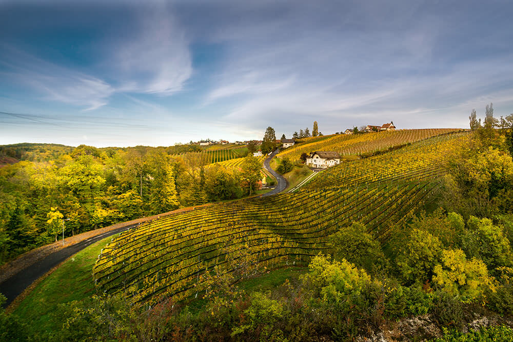 Weinanbaugebiet Burgenland (Österreich)
