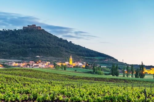 Weinbaugebiet Navarra Spanien Tierra Estella - Vino Culinario