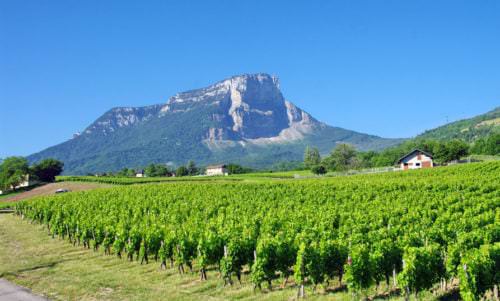 Das französische Weinbaugebiet Savoyen (Savoie) - Vino Culinario