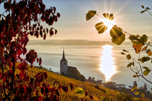 Ligerz am Bielersee, Weinregion Drei-Seen-Land, Schweiz - Vino Culinario