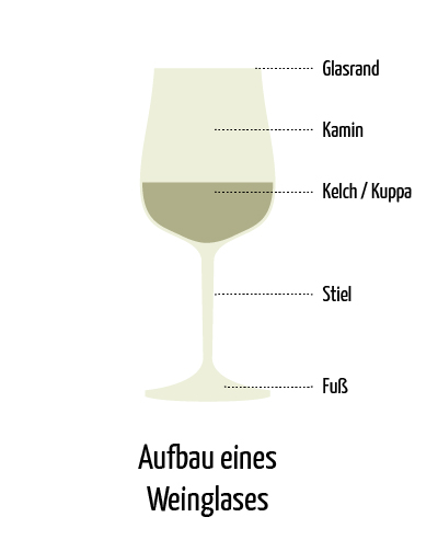 Aufbau Weinglas Weißwein - Vino Culinario