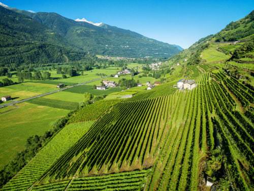 Blick auf die Steillagen und Weinberge der atemberaubenden Weinlandschaft der Lombardei - Vino Culinario