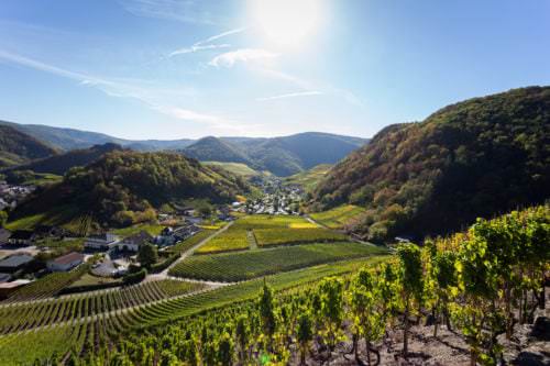 Blick ins Ahrtal (Weinregion Ahr)