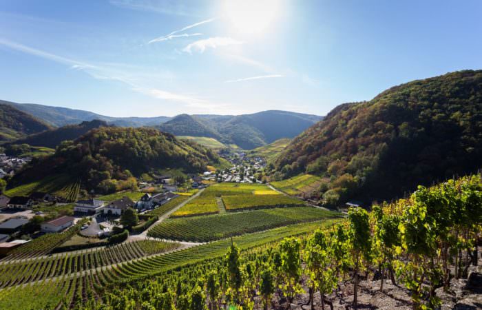 Blick ins Ahrtal (Weinregion Ahr)