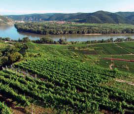 Weinanbaugebiet Wachau - Vino Culinario