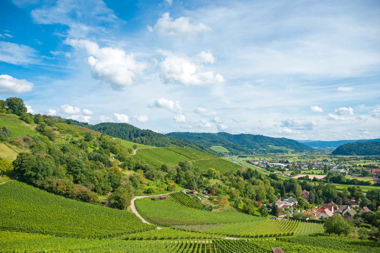 Weinanbaugebiet Württemberg (Deutschland) 🍂
